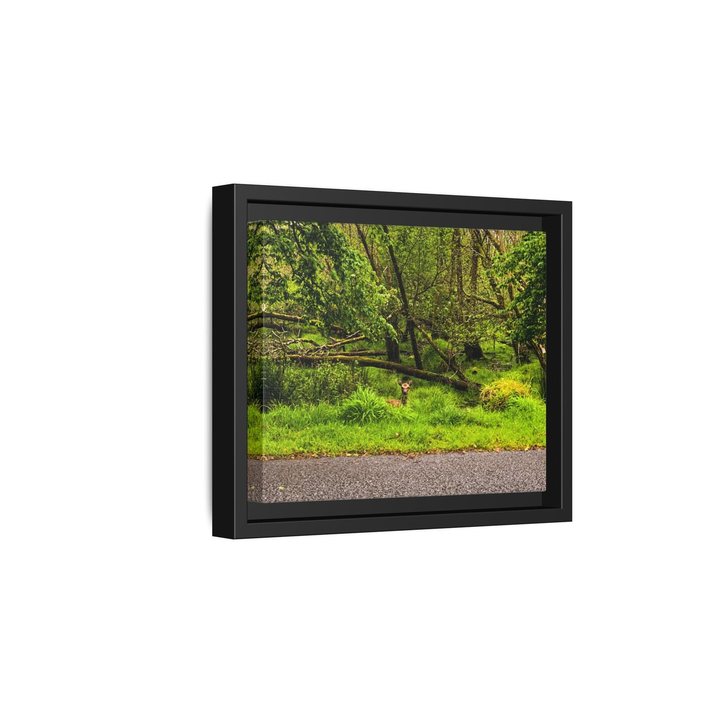 Deer in Ditch Matte Canvas, Framed (Multi-color)