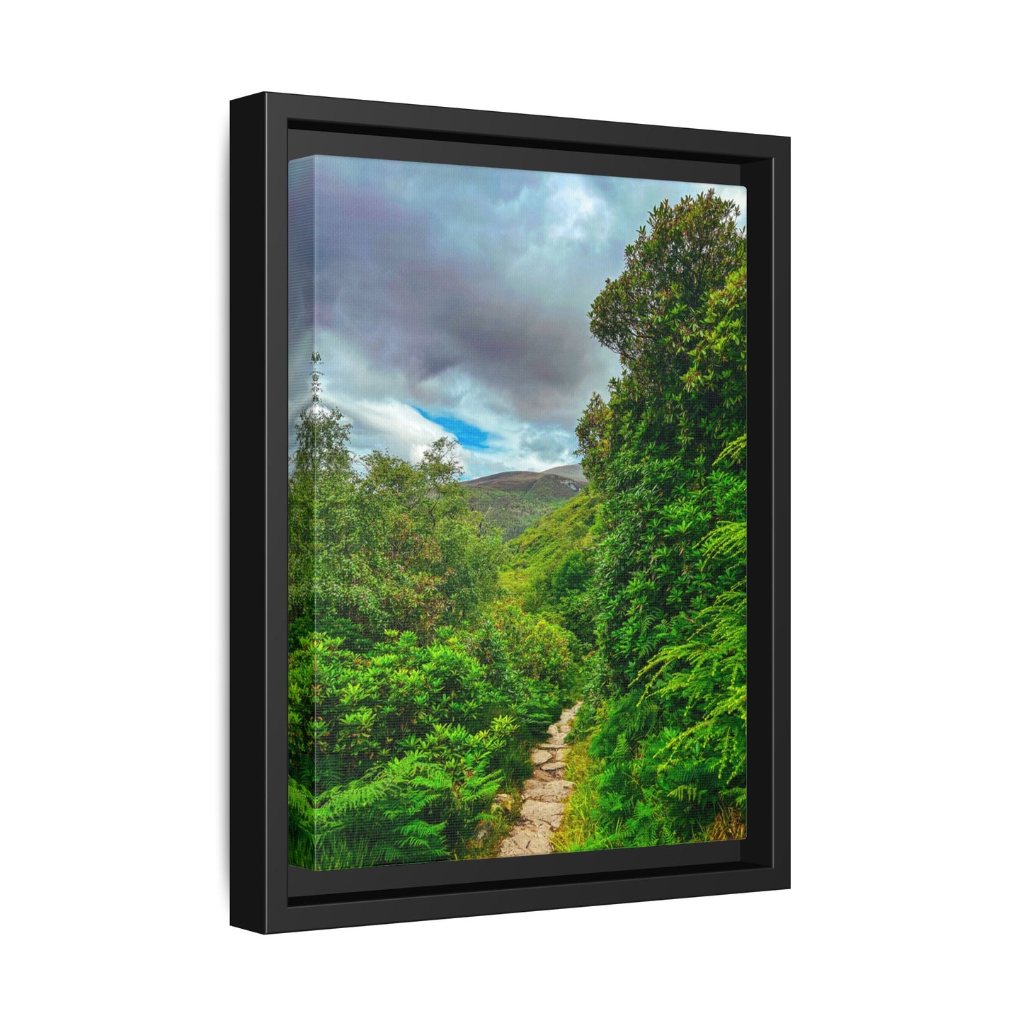 Torc Trail Matte Canvas, Framed (Multi-color)