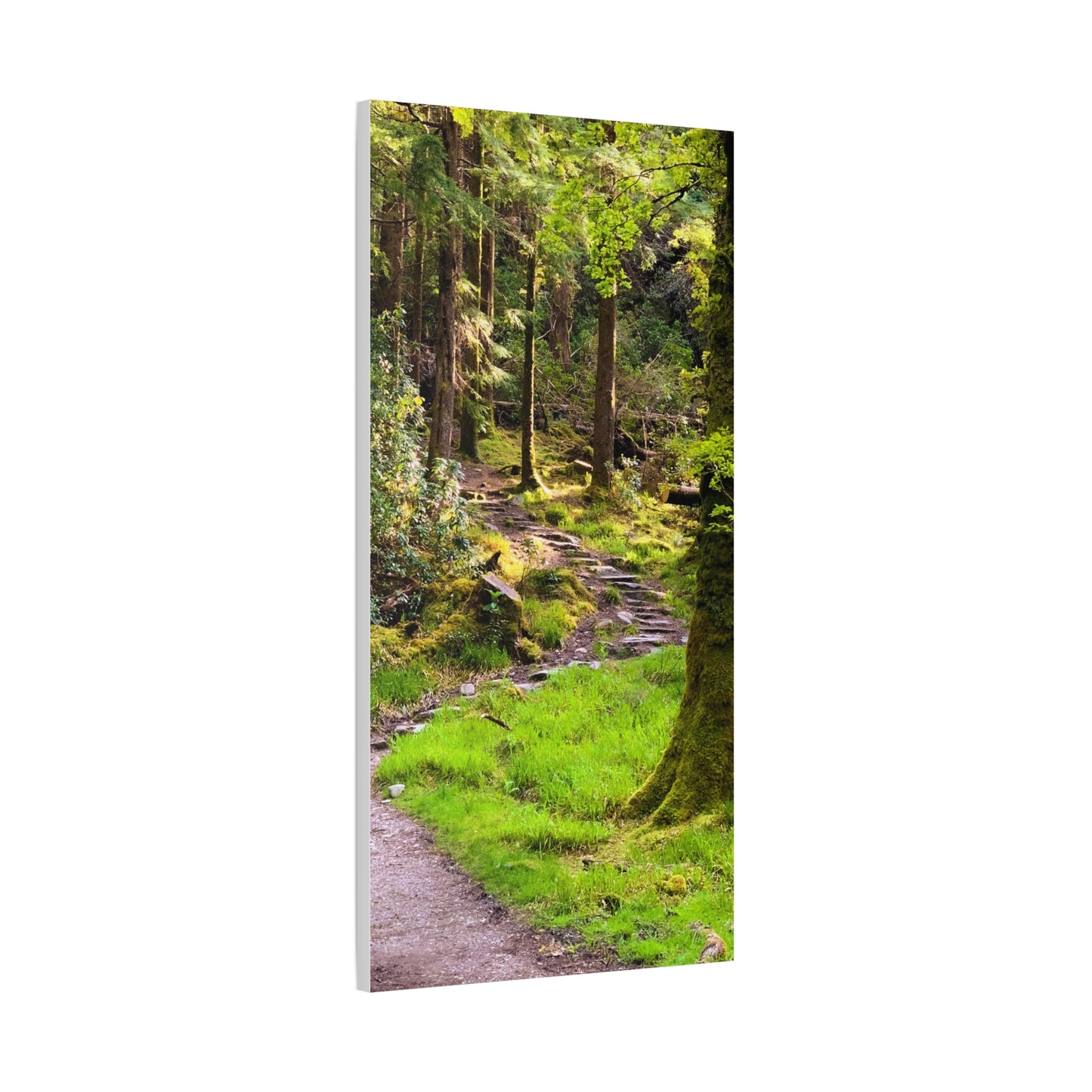 Torc Trail Matte Canvas, Stretched, 1.25"