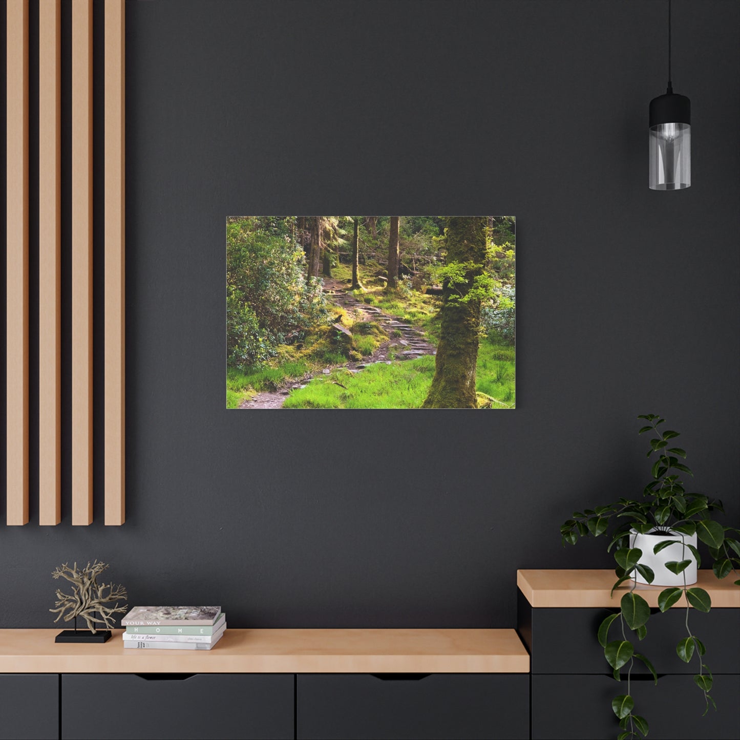 Torc Trail Matte Canvas, Stretched, 1.25"