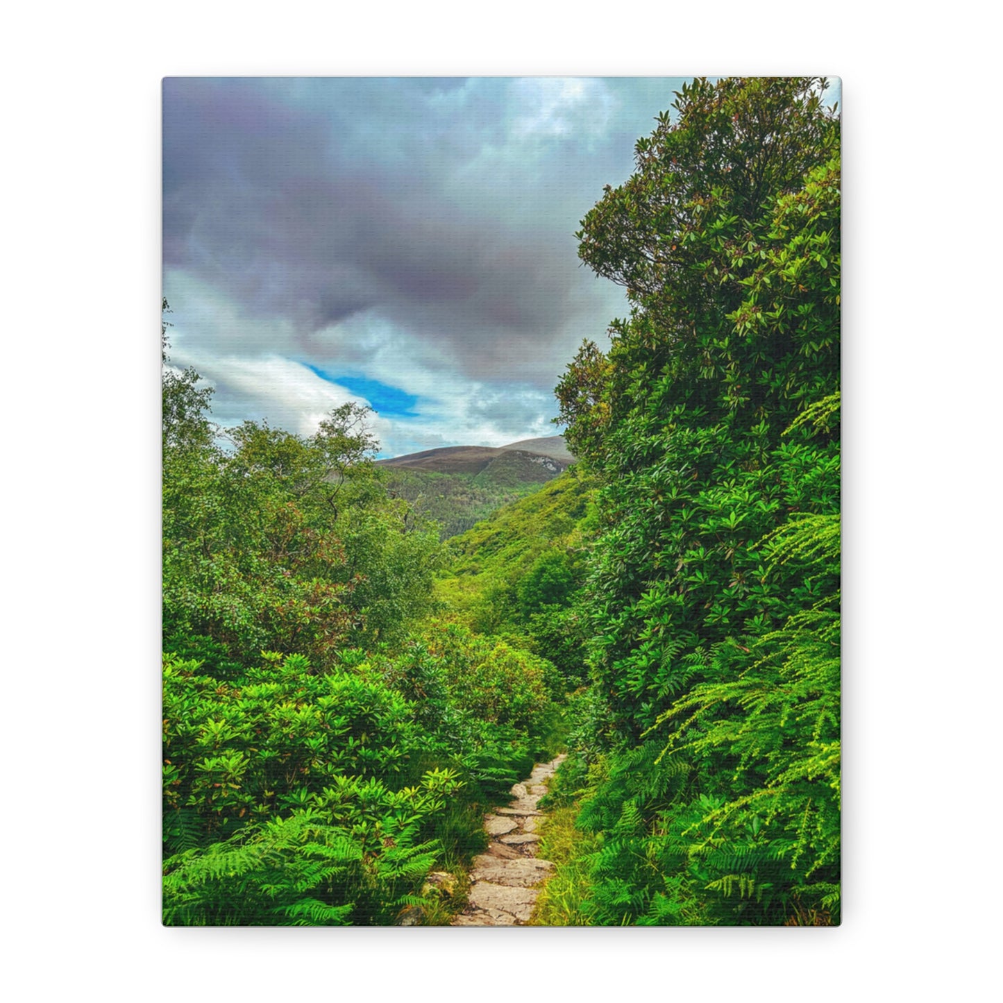 Torc Trail Matte Canvas, Stretched, 1.25"