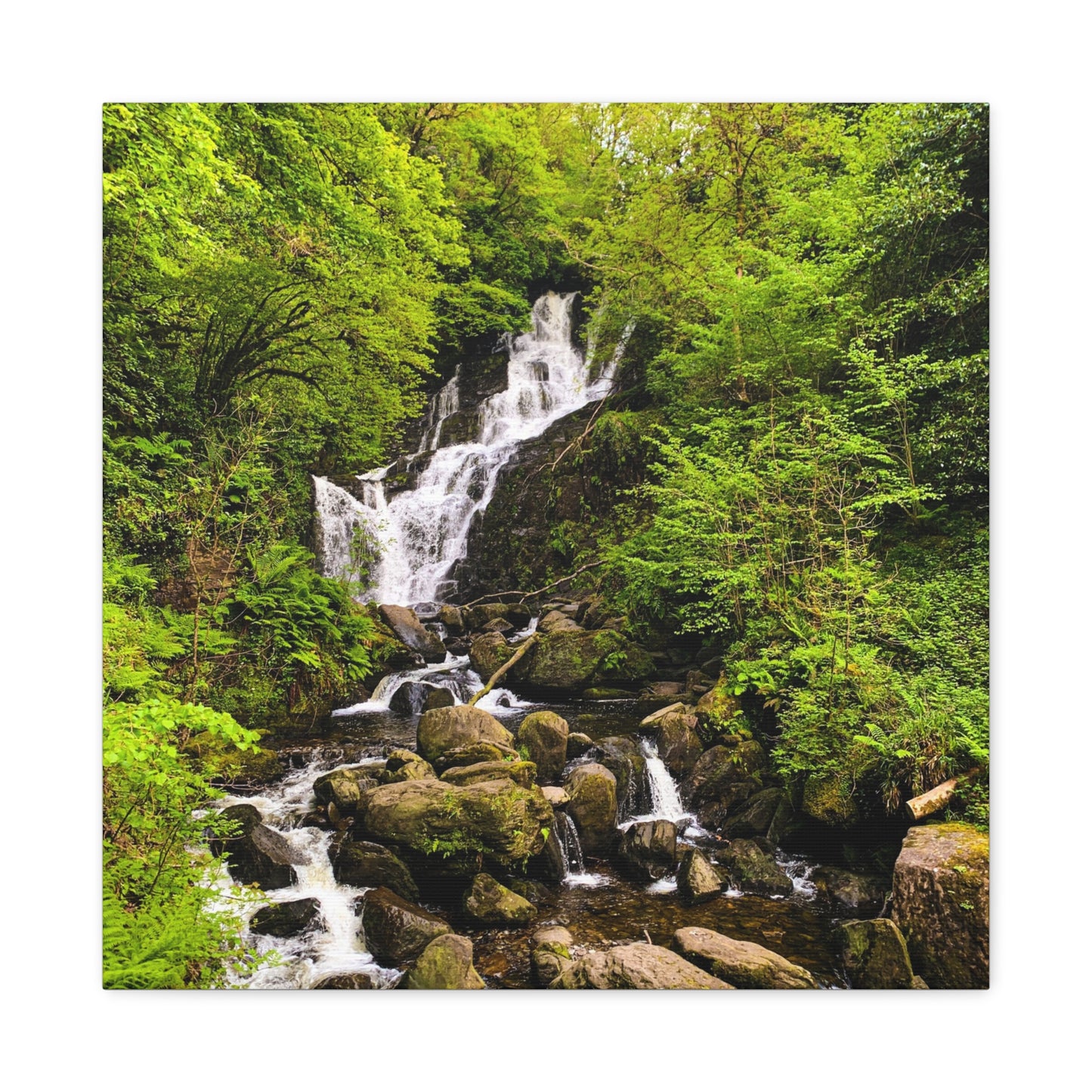 Torc waterfall Matte Canvas, Stretched, 1.25"