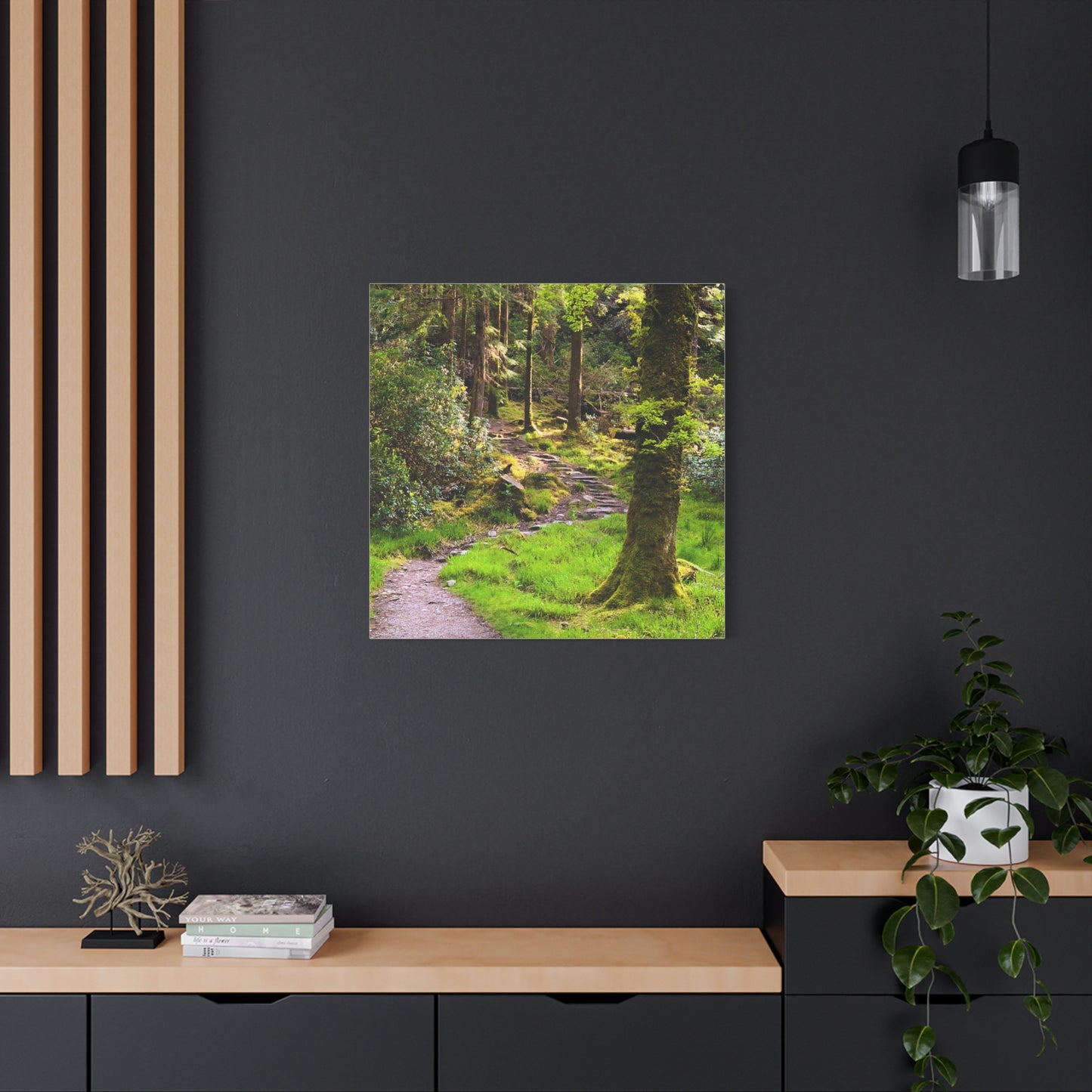 Torc Trail Matte Canvas, Stretched, 1.25"