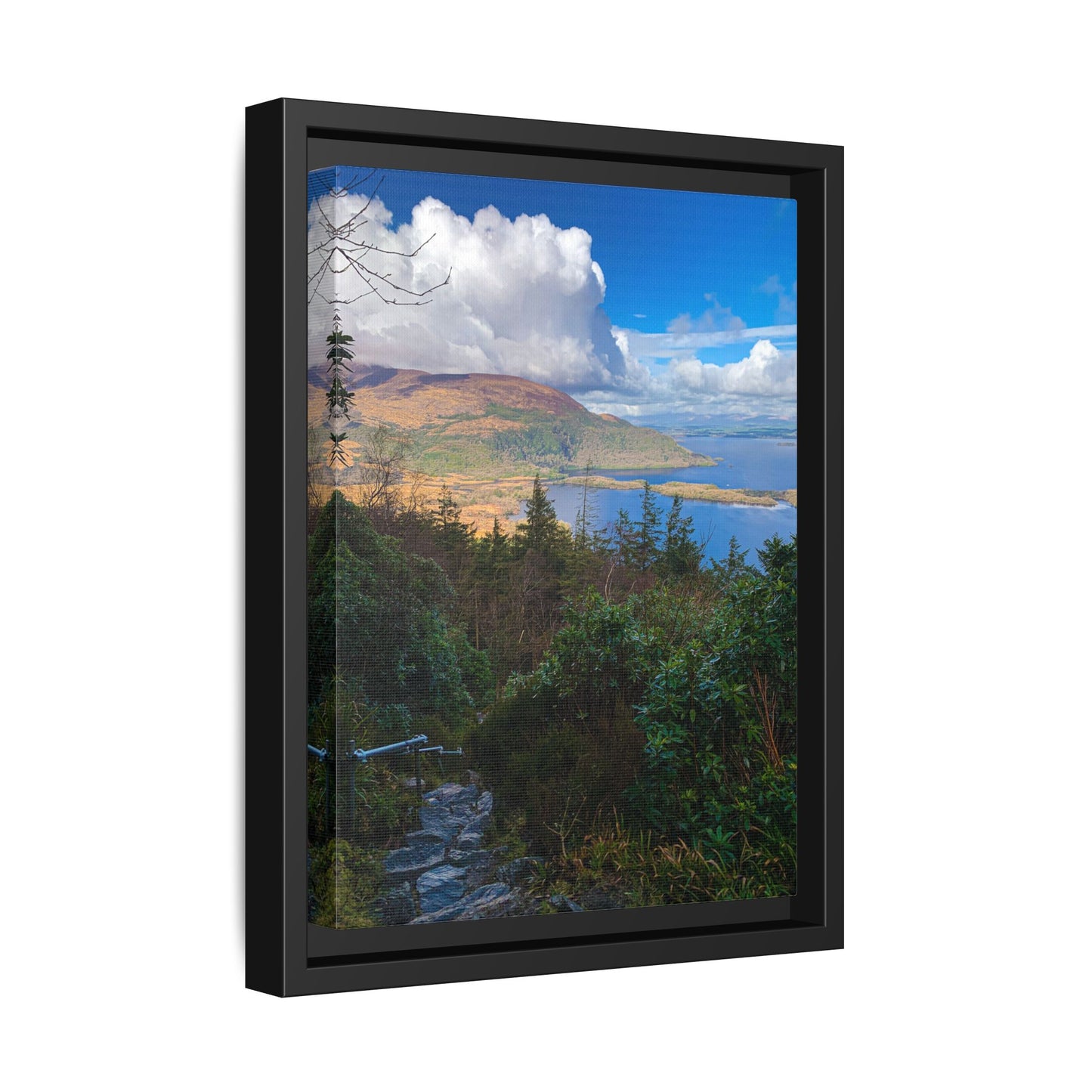 Torc Trail Stairs Matte Canvas, Framed (Multi-color)