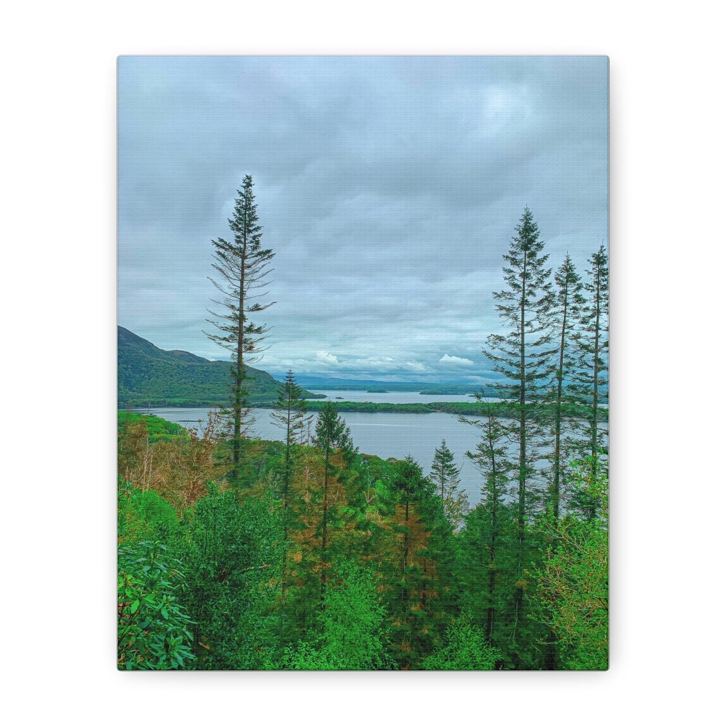 Torc Mountain Trail 2 Matte Canvas, Stretched, 1.25"