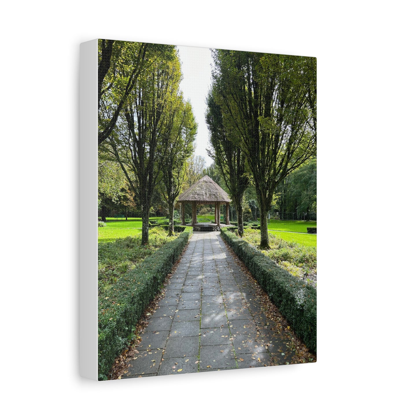 Adare Matte Canvas, Stretched, 1.25"