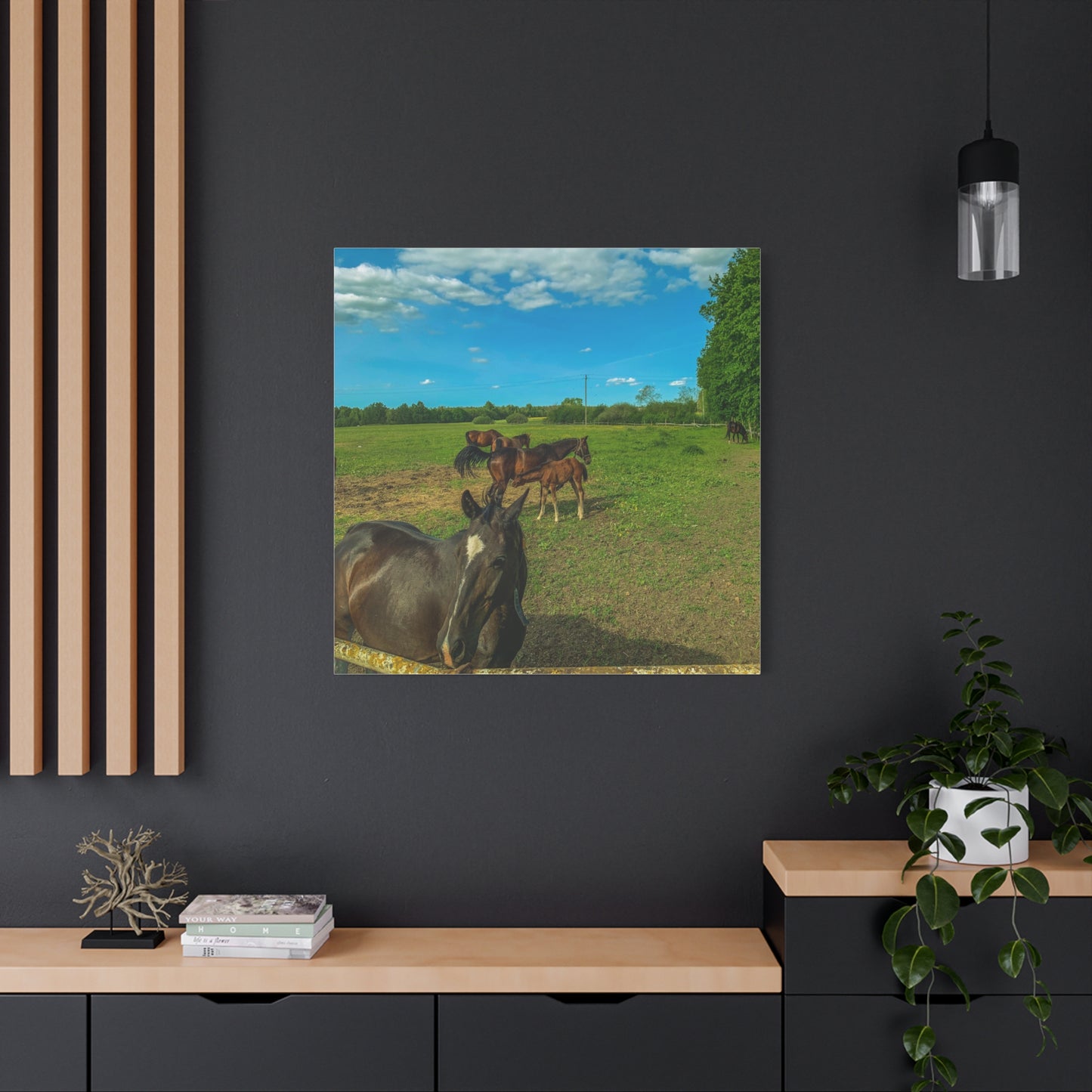 Horse Matte Canvas, Stretched, 1.25"