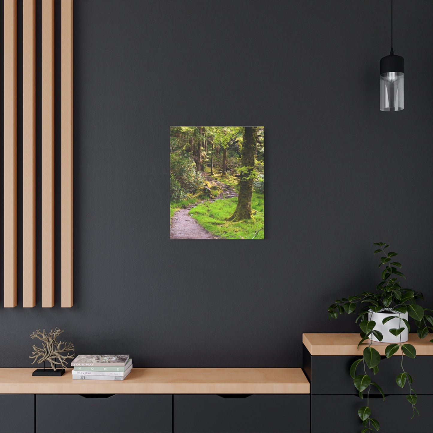 Torc Trail Matte Canvas, Stretched, 1.25"