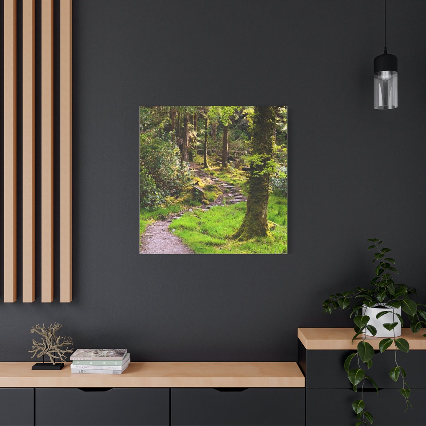 Torc Trail Matte Canvas, Stretched, 1.25"