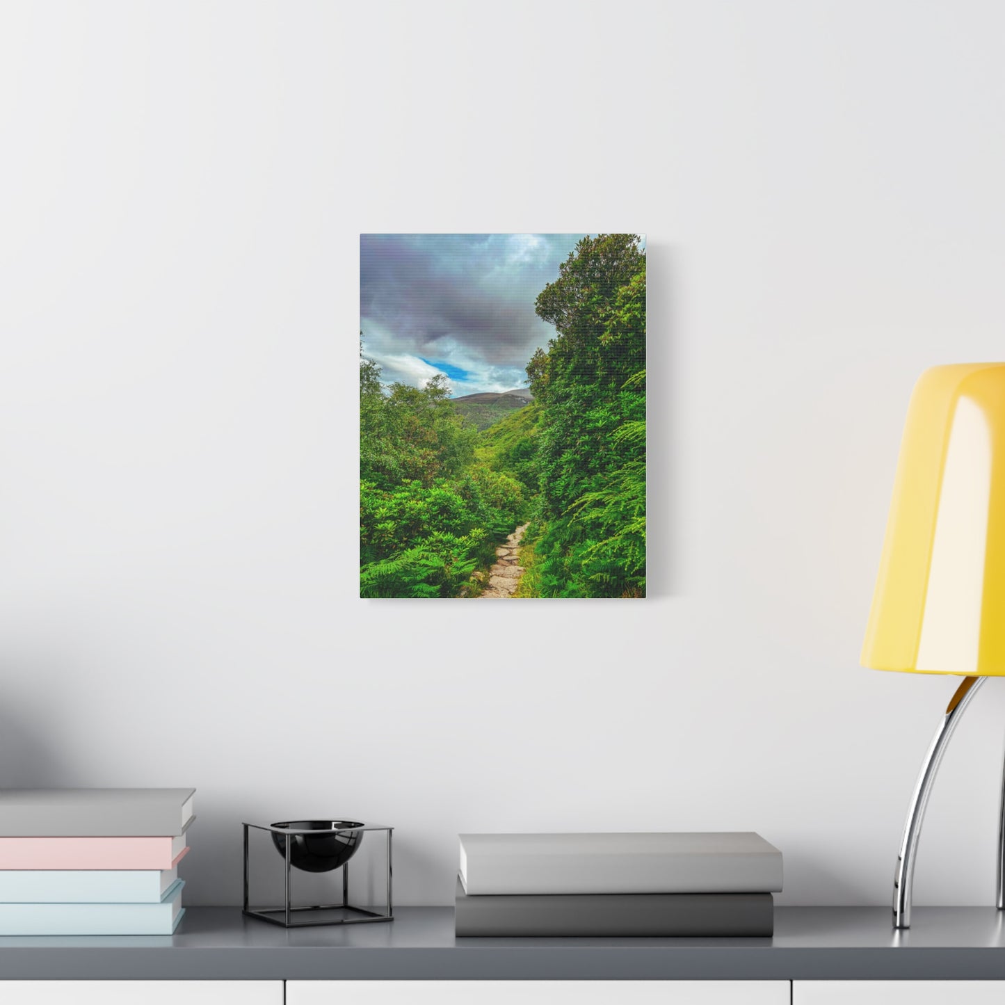 Torc Trail Matte Canvas, Stretched, 1.25"