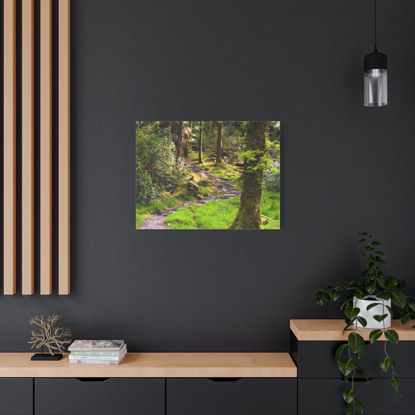 Torc Trail Matte Canvas, Stretched, 1.25"