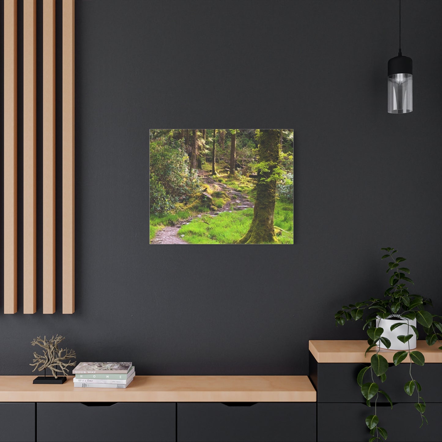 Torc Trail Matte Canvas, Stretched, 1.25"