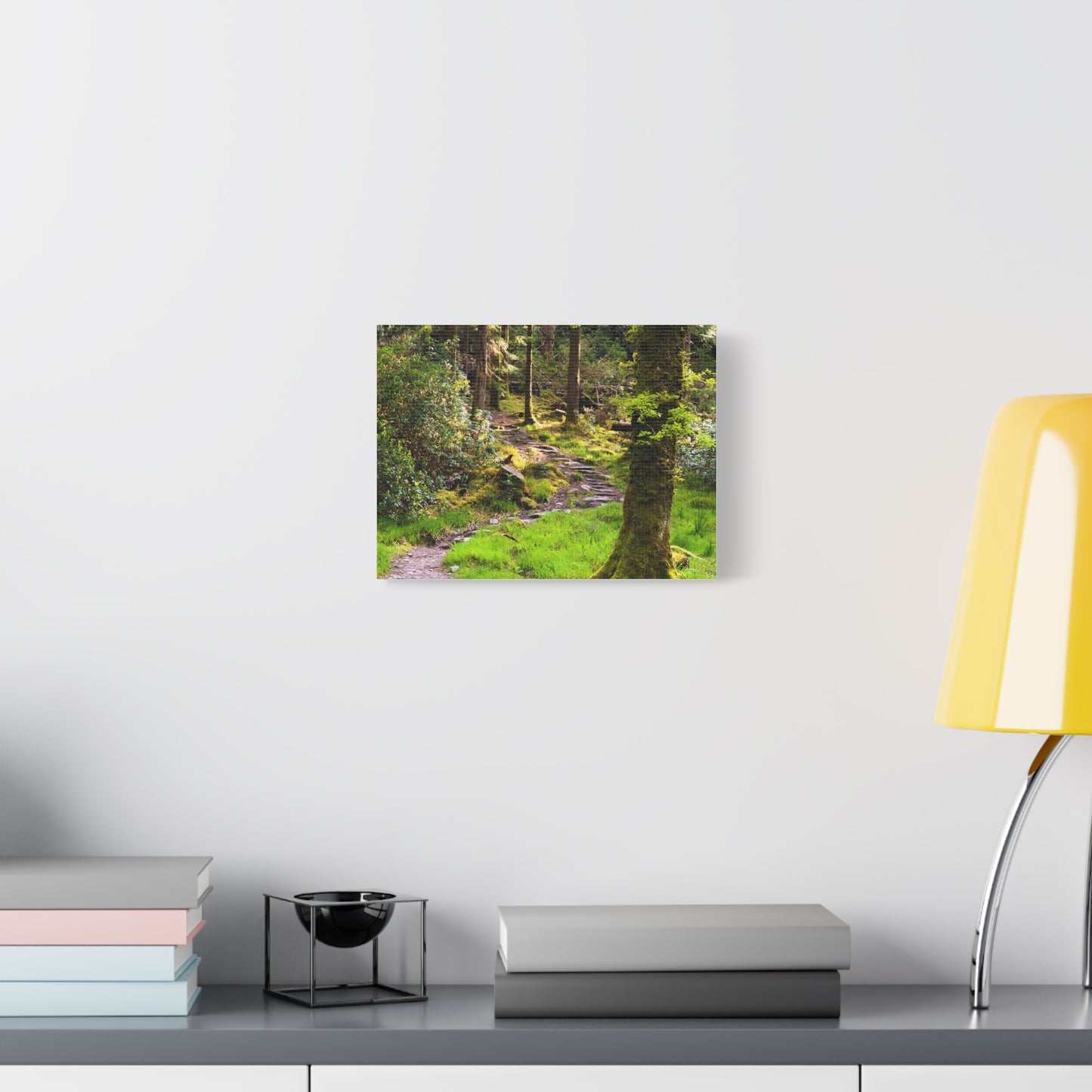 Torc Trail Matte Canvas, Stretched, 1.25"