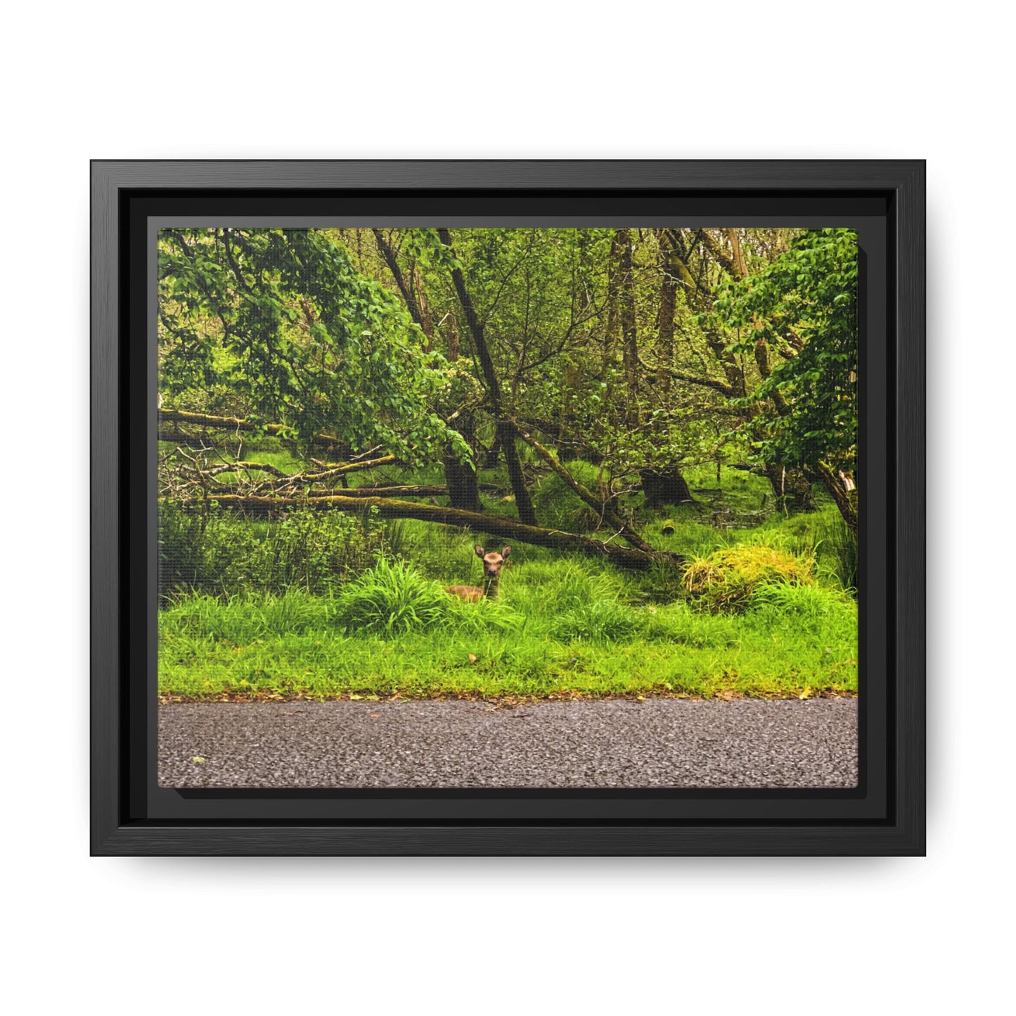 Deer in Ditch Matte Canvas, Framed (Multi-color)