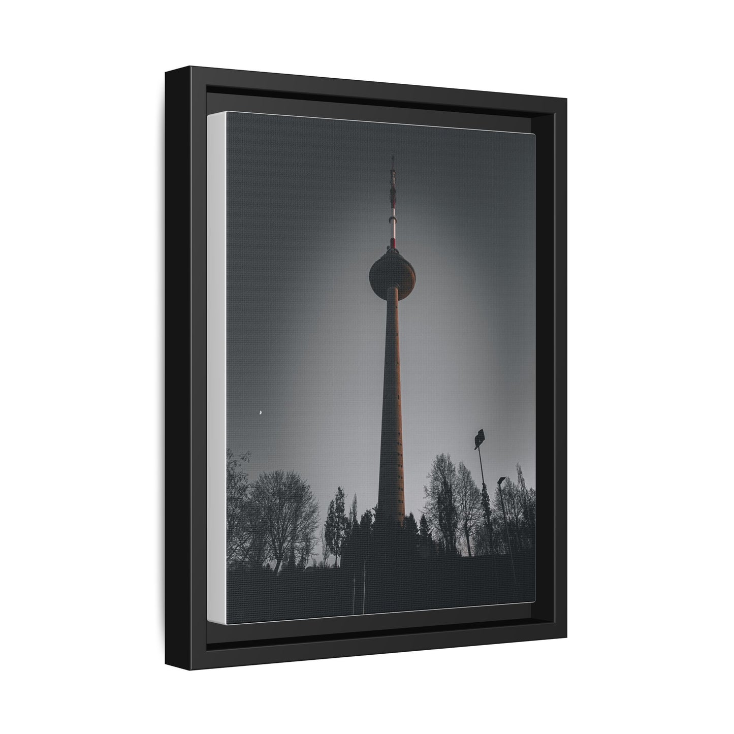 TV Tower Matte Canvas, Framed (Multi-color)