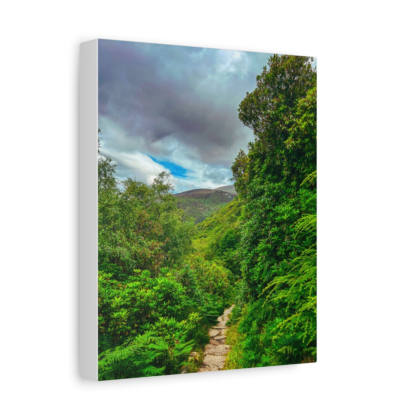 Torc Trail Matte Canvas, Stretched, 1.25"