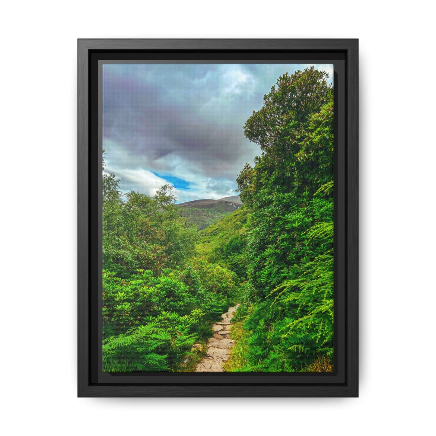 Torc Trail Matte Canvas, Framed (Multi-color)