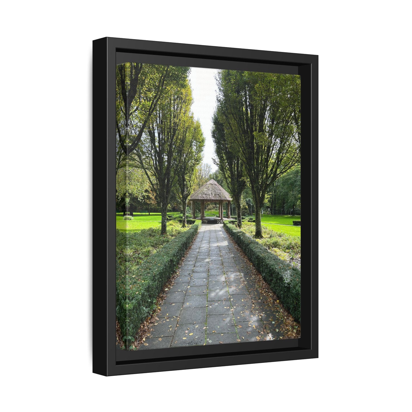 Adare Matte Canvas, Framed (Multi-color)