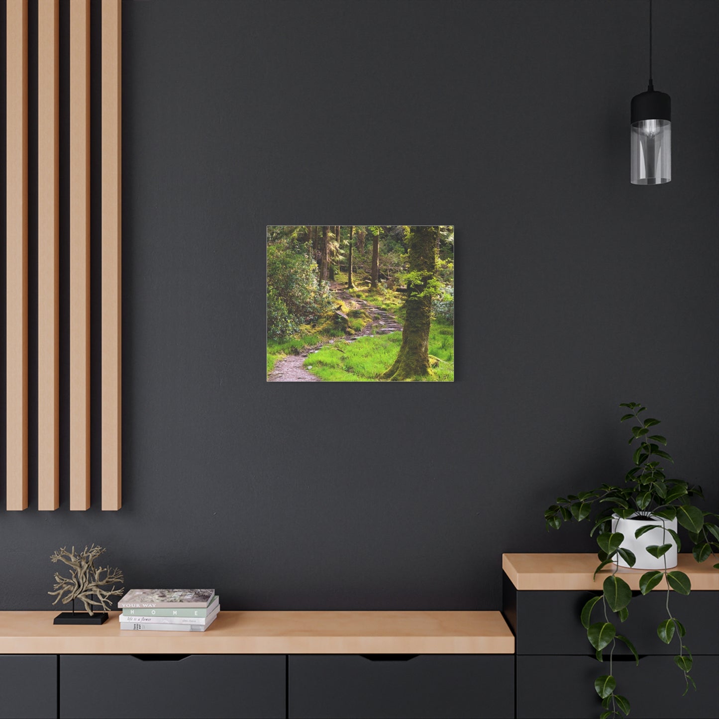 Torc Trail Matte Canvas, Stretched, 1.25"
