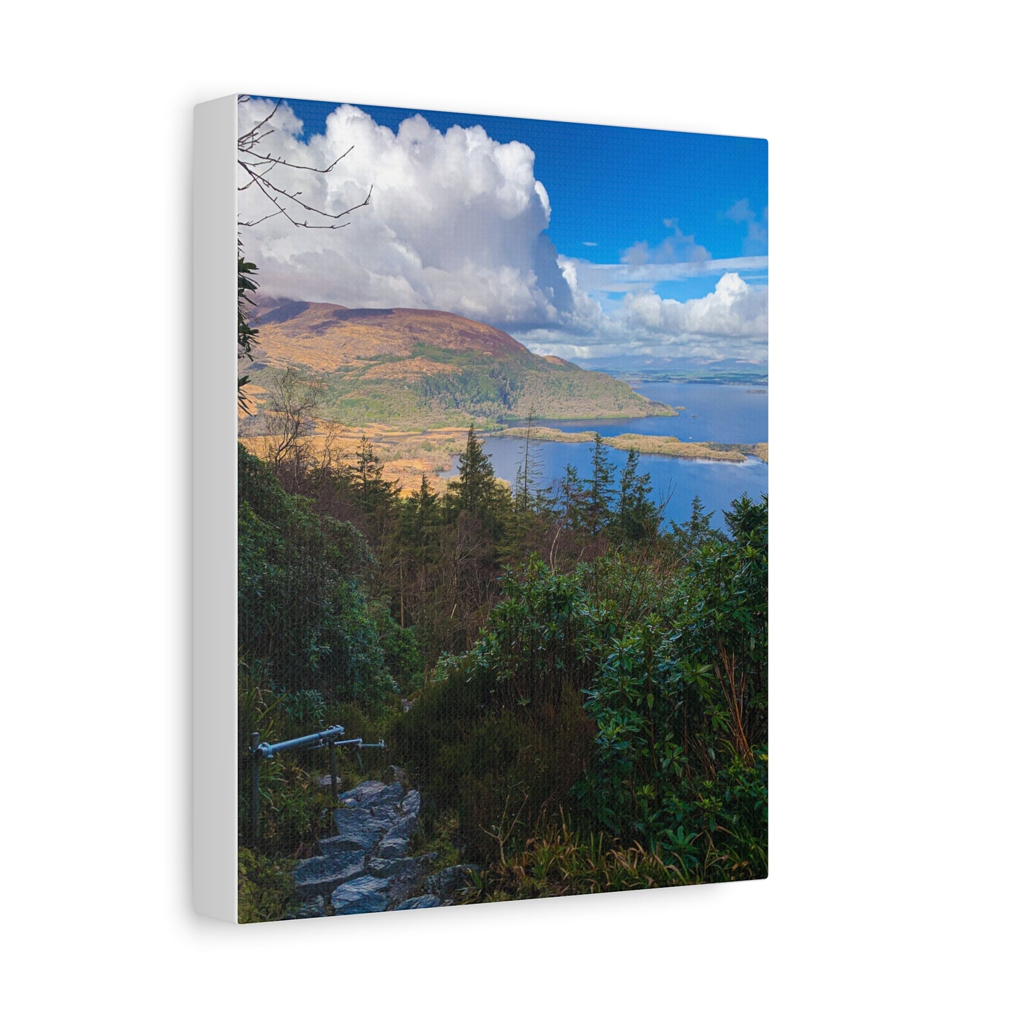 Torc Trail Stairs Matte Canvas, Stretched, 1.25"