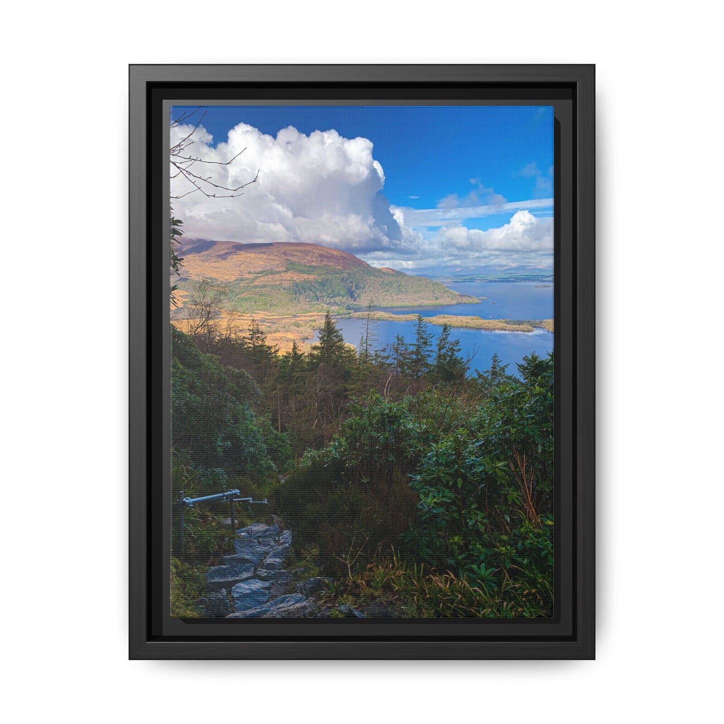 Torc Trail Stairs Matte Canvas, Framed (Multi-color)