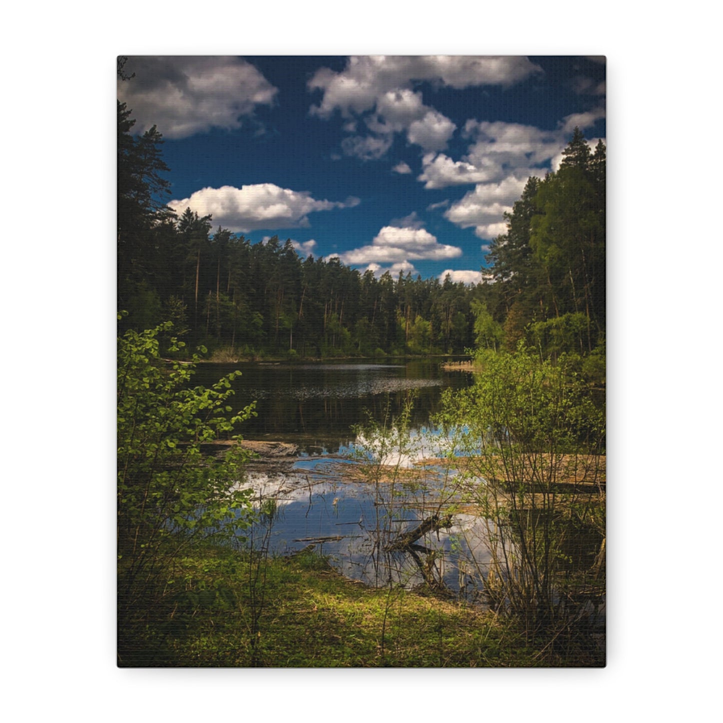 Vilnius Lake, Lithuania Matte Canvas, Stretched, 1.25"