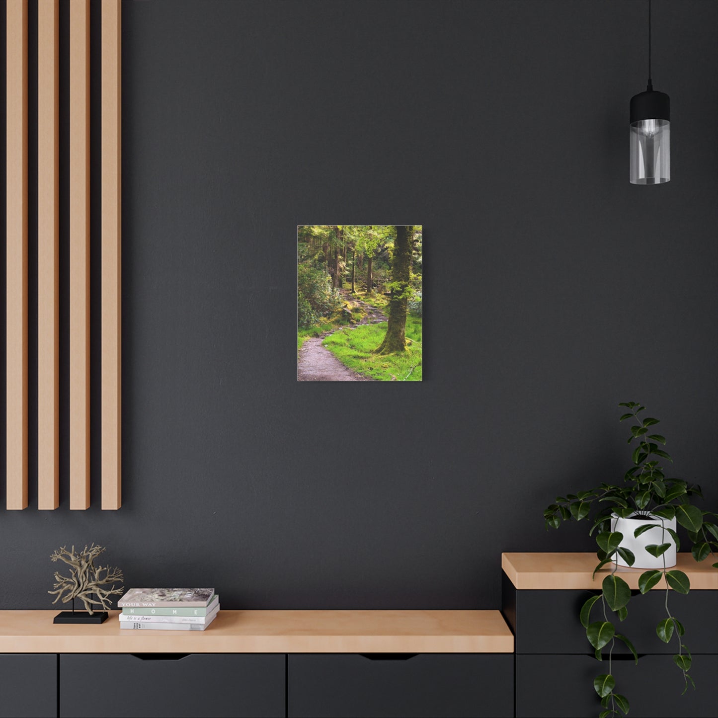 Torc Trail Matte Canvas, Stretched, 1.25"