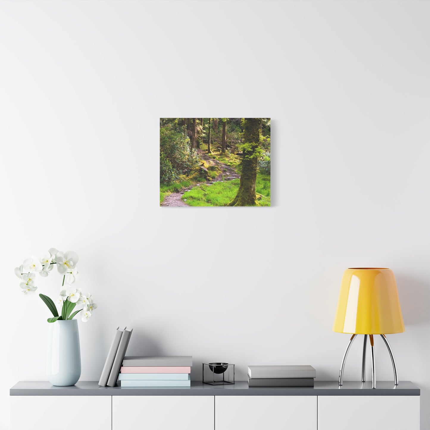 Torc Trail Matte Canvas, Stretched, 1.25"