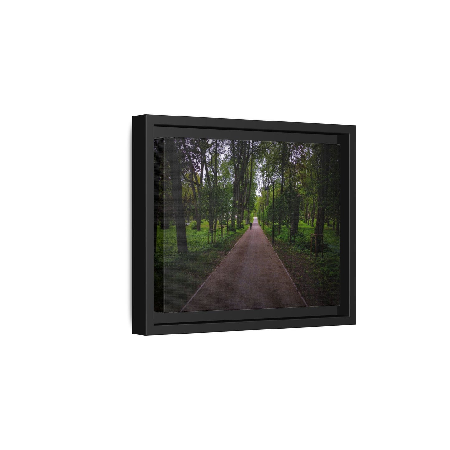 Zagares Park Matte Canvas, Framed (Multi-color)