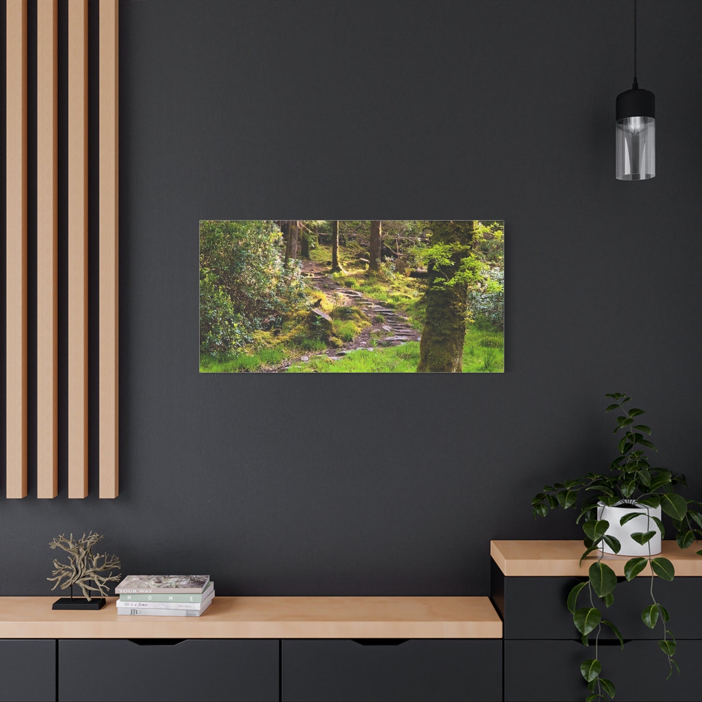 Torc Trail Matte Canvas, Stretched, 1.25"