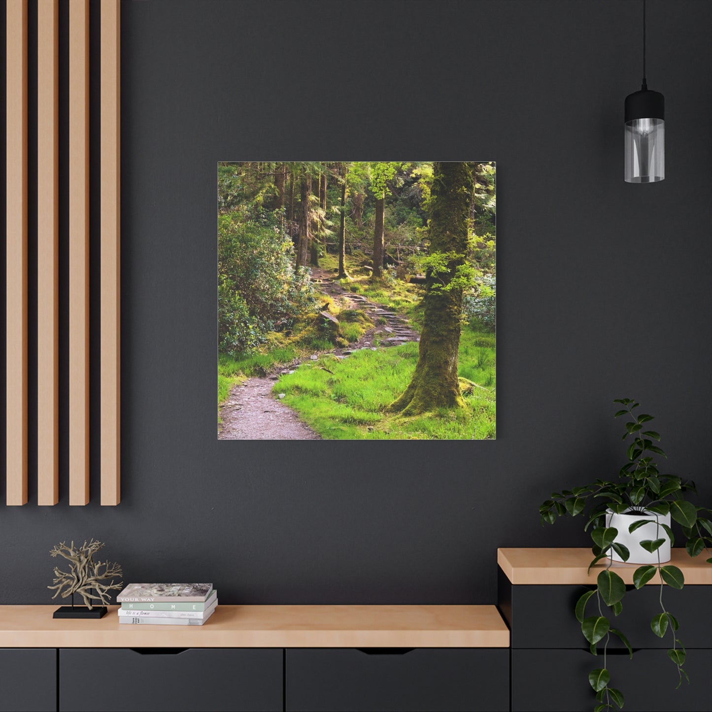 Torc Trail Matte Canvas, Stretched, 1.25"