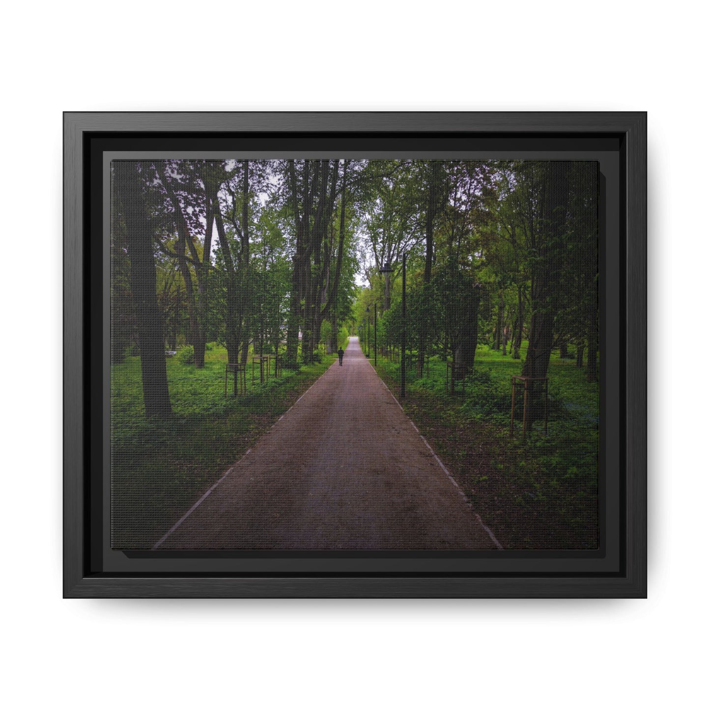 Zagares Park Matte Canvas, Framed (Multi-color)