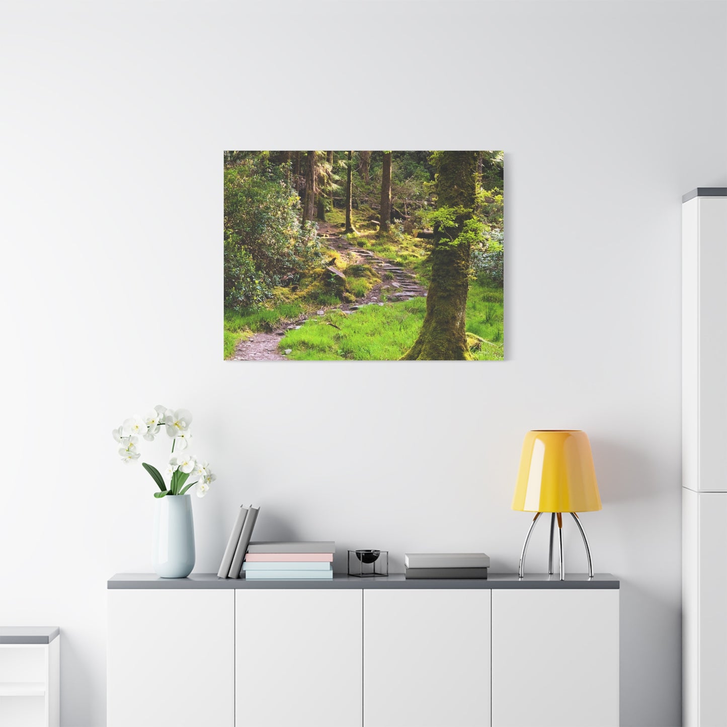 Torc Trail Matte Canvas, Stretched, 1.25"