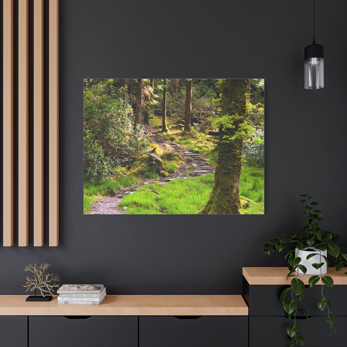 Torc Trail Matte Canvas, Stretched, 1.25"