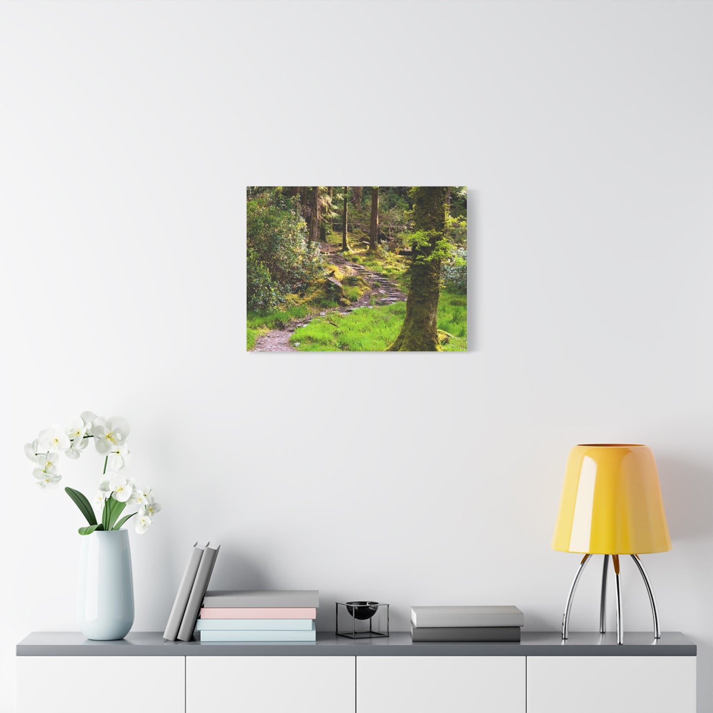 Torc Trail Matte Canvas, Stretched, 1.25"