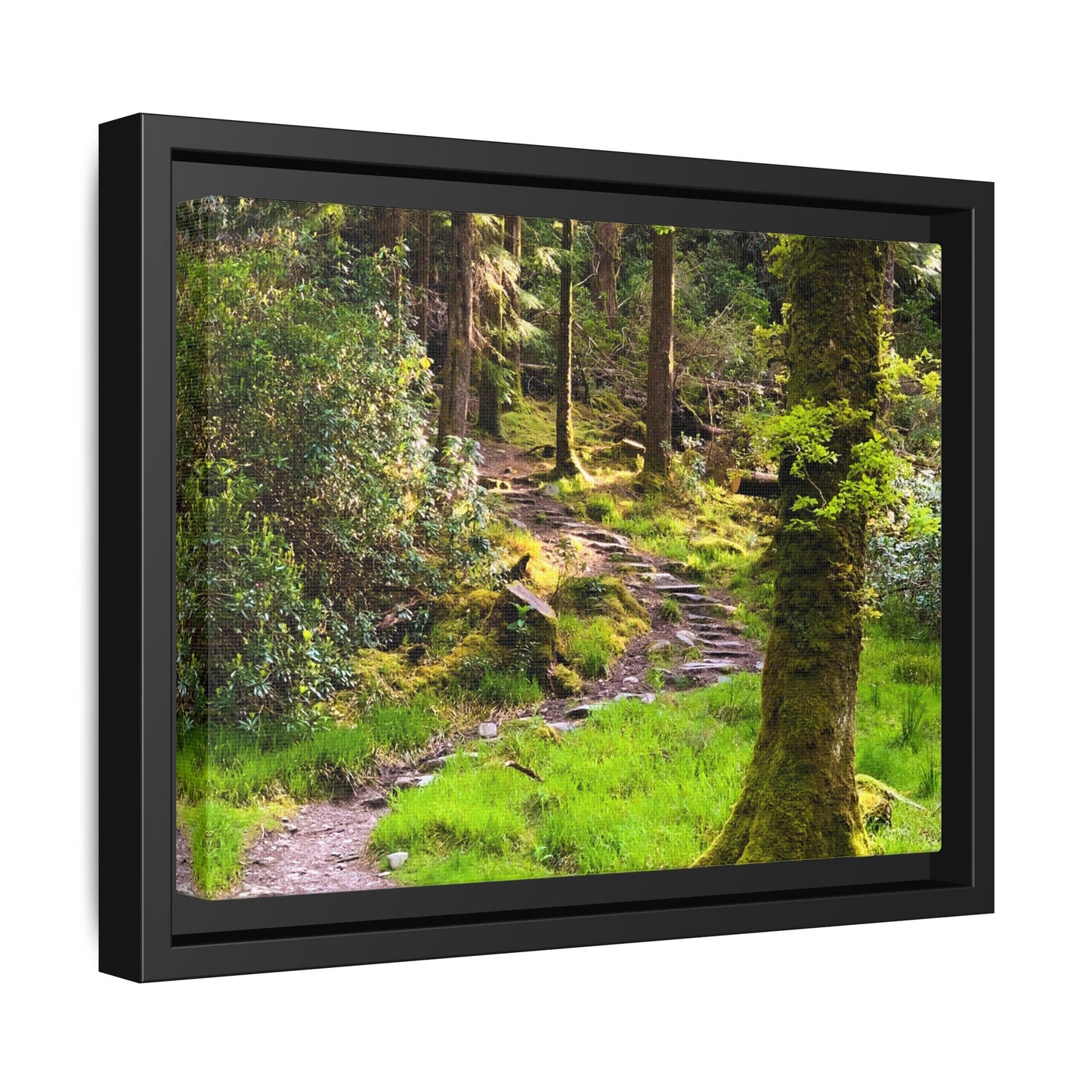 Torc Trail Matte Canvas, Framed (Multi-color)