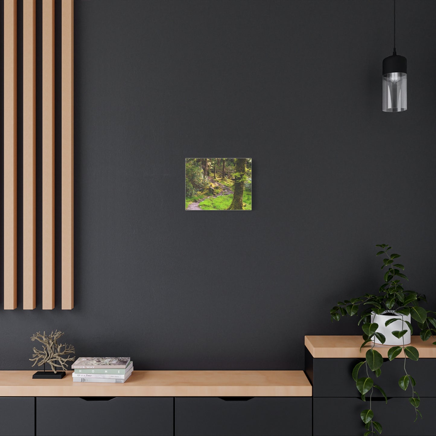 Torc Trail Matte Canvas, Stretched, 1.25"