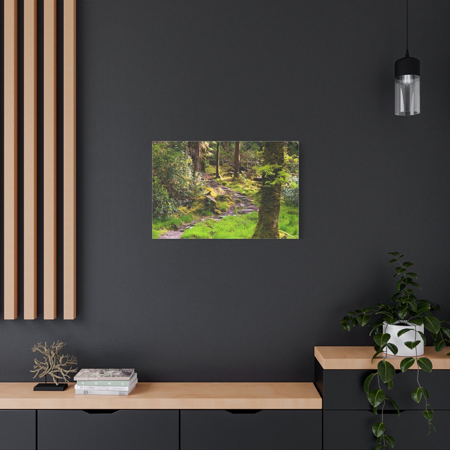 Torc Trail Matte Canvas, Stretched, 1.25"