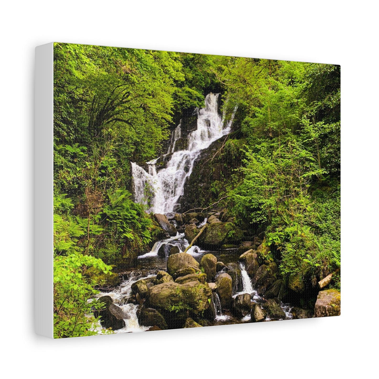 Torc waterfall Matte Canvas, Stretched, 1.25"