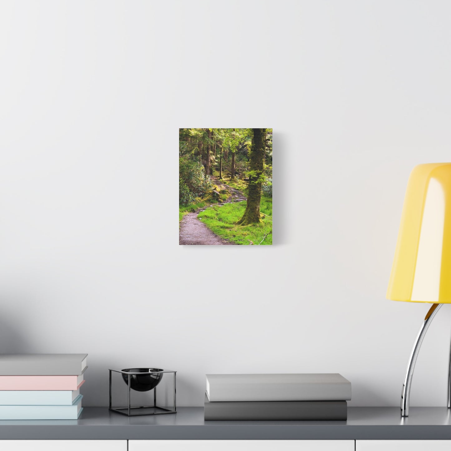 Torc Trail Matte Canvas, Stretched, 1.25"