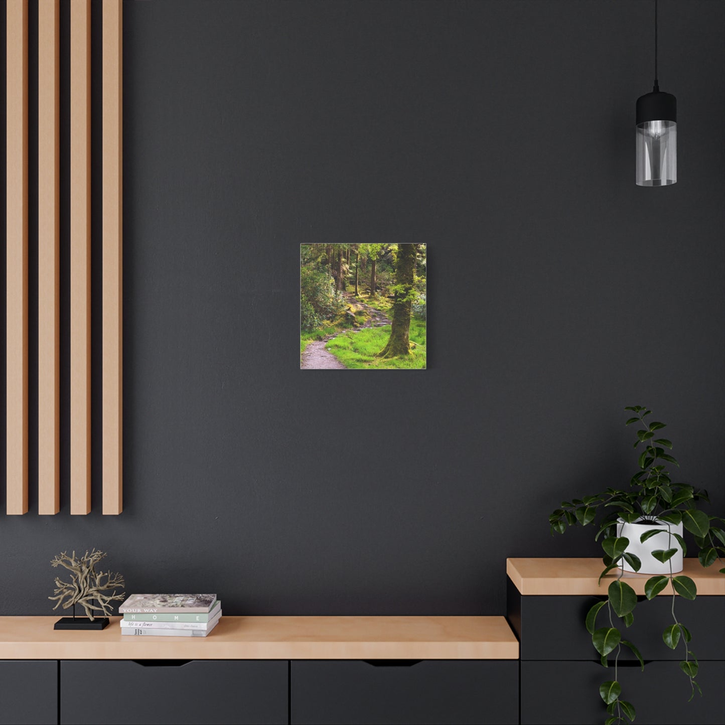 Torc Trail Matte Canvas, Stretched, 1.25"