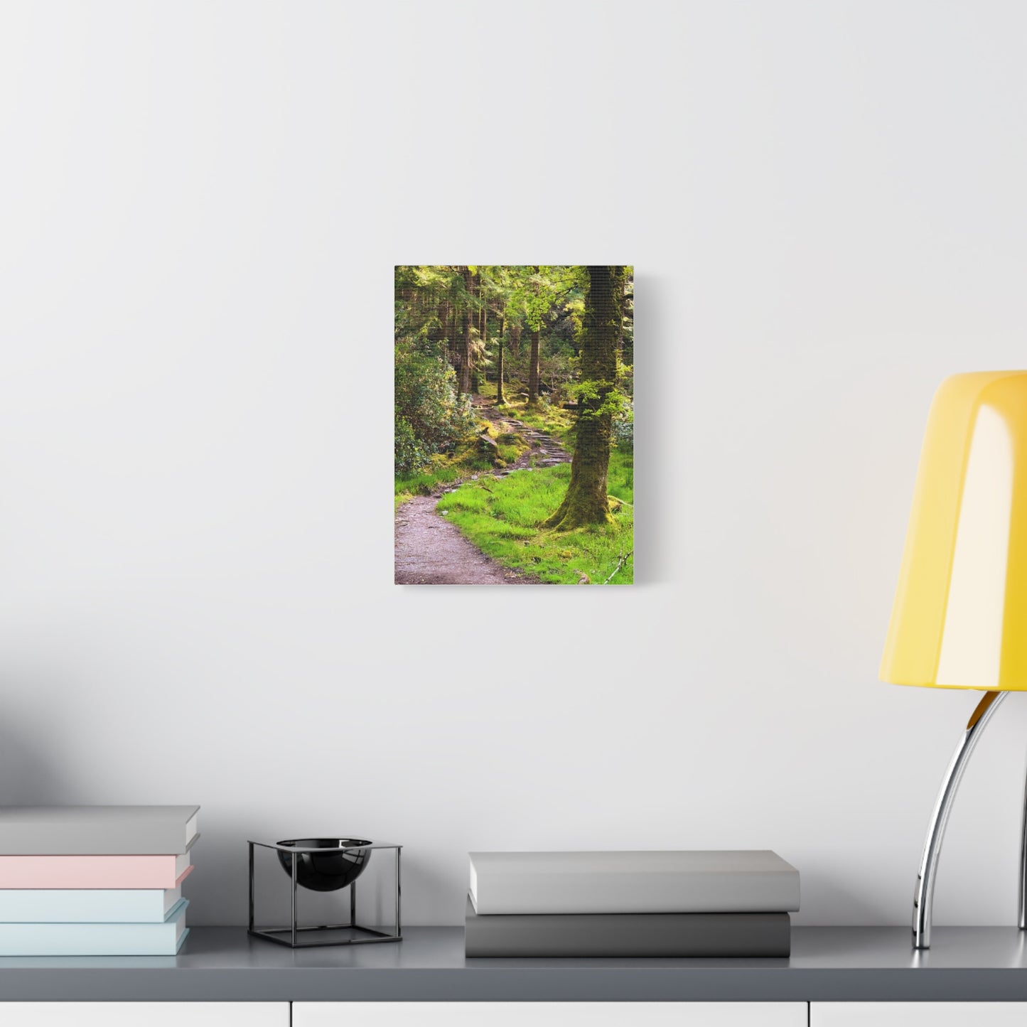 Torc Trail Matte Canvas, Stretched, 1.25"