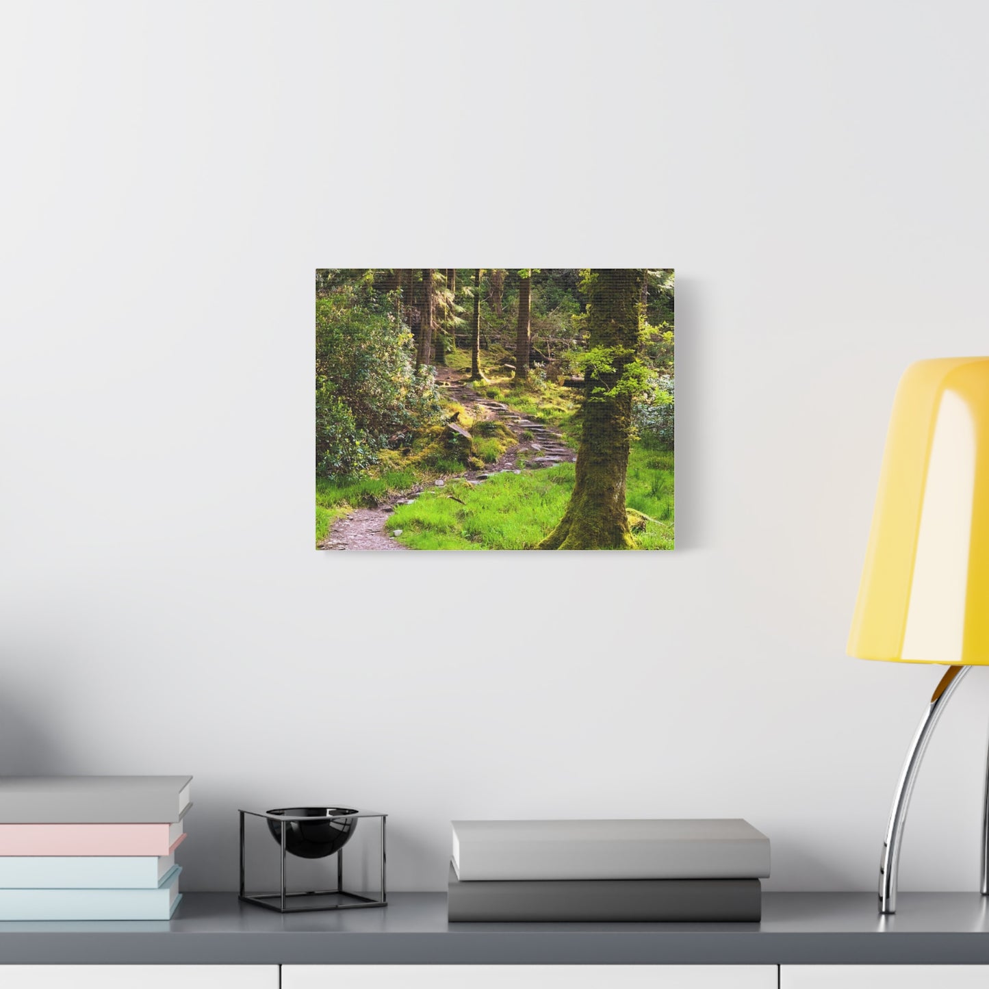 Torc Trail Matte Canvas, Stretched, 1.25"