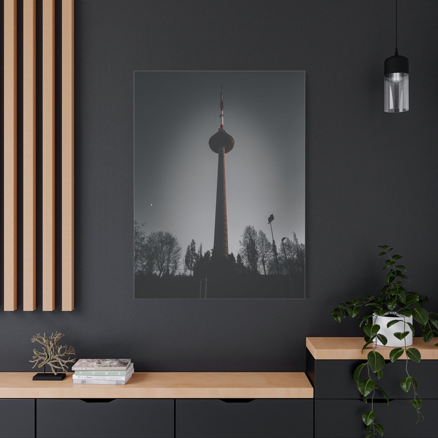 Vilnius TV Tower Matte Canvas, Stretched, 1.25"