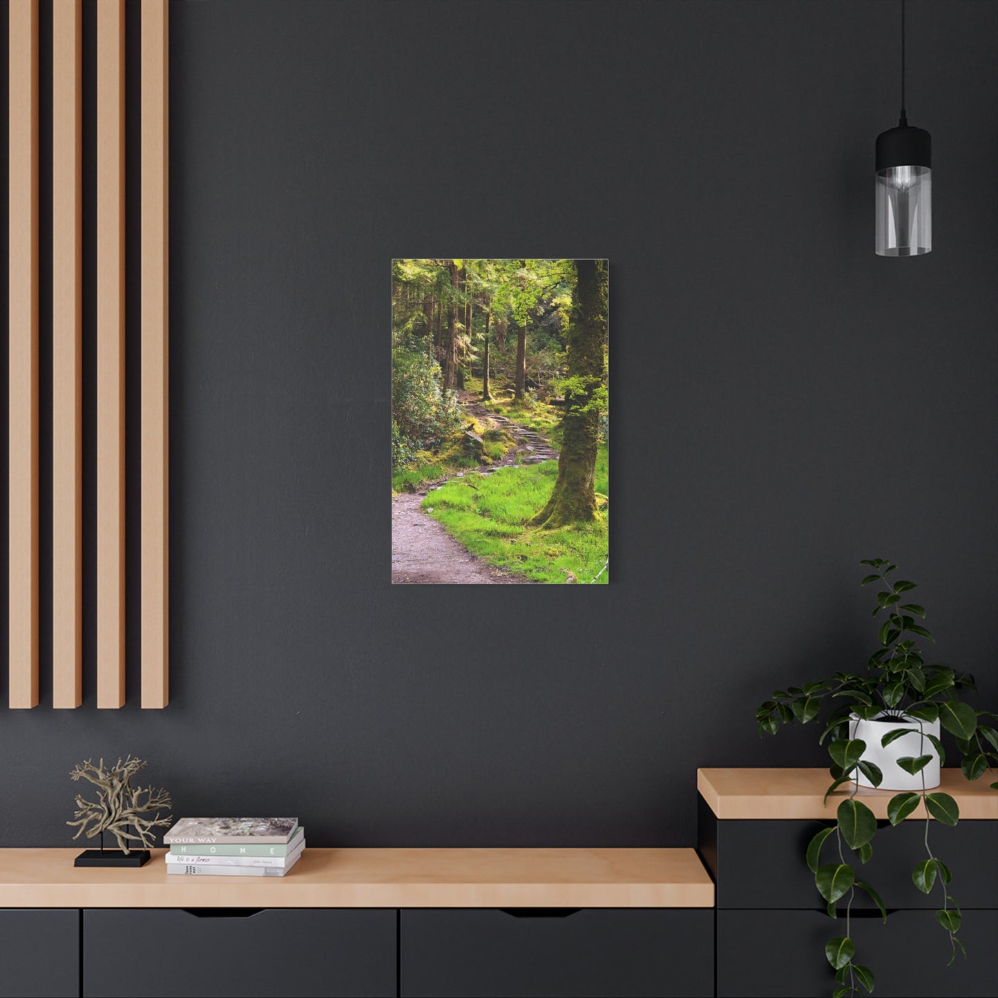 Torc Trail Matte Canvas, Stretched, 1.25"