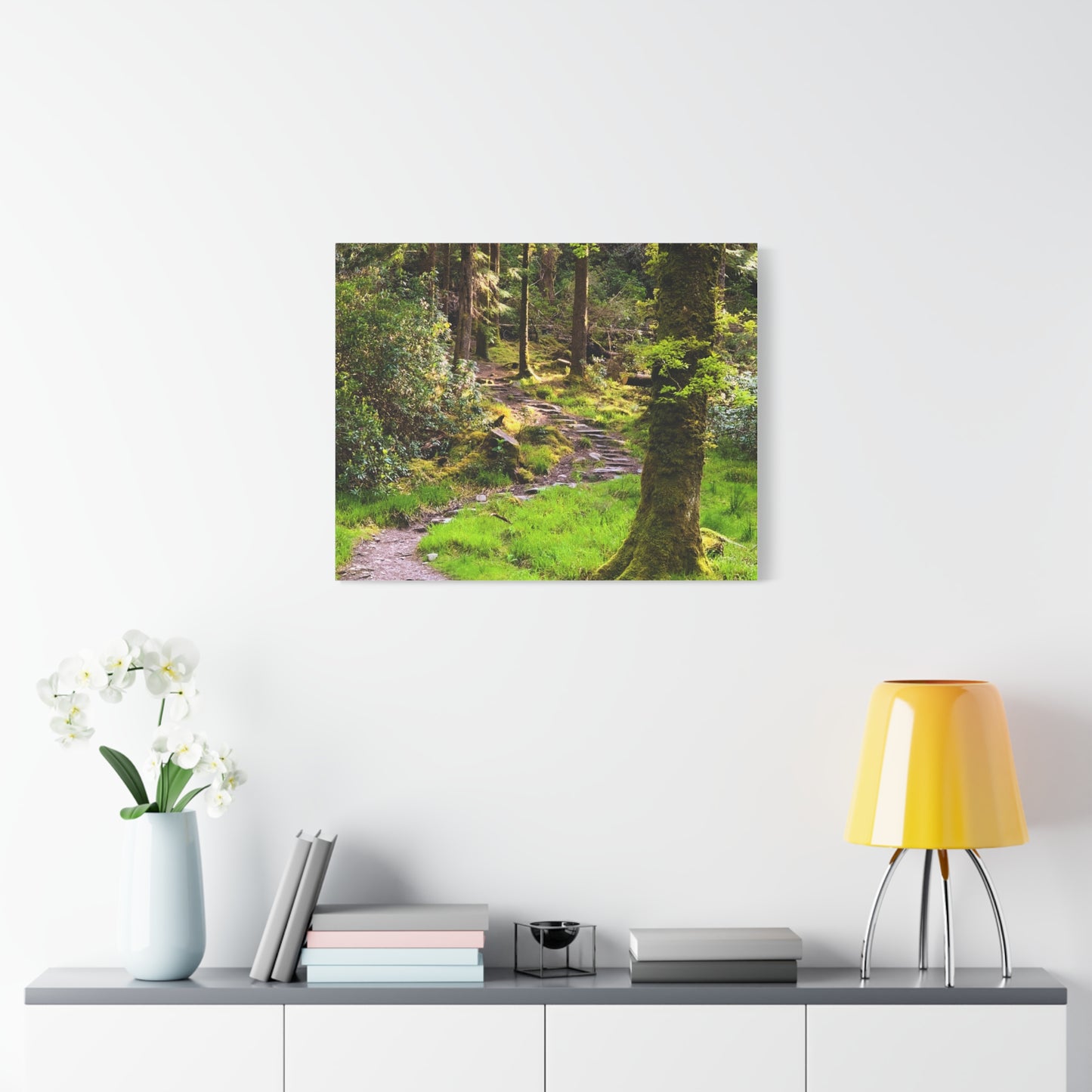 Torc Trail Matte Canvas, Stretched, 1.25"