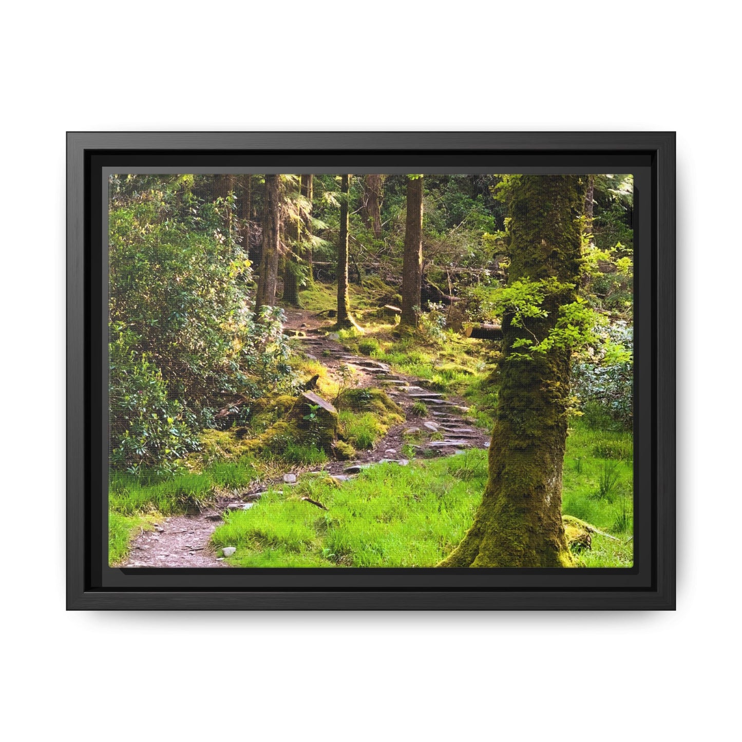 Torc Trail Matte Canvas, Framed (Multi-color)