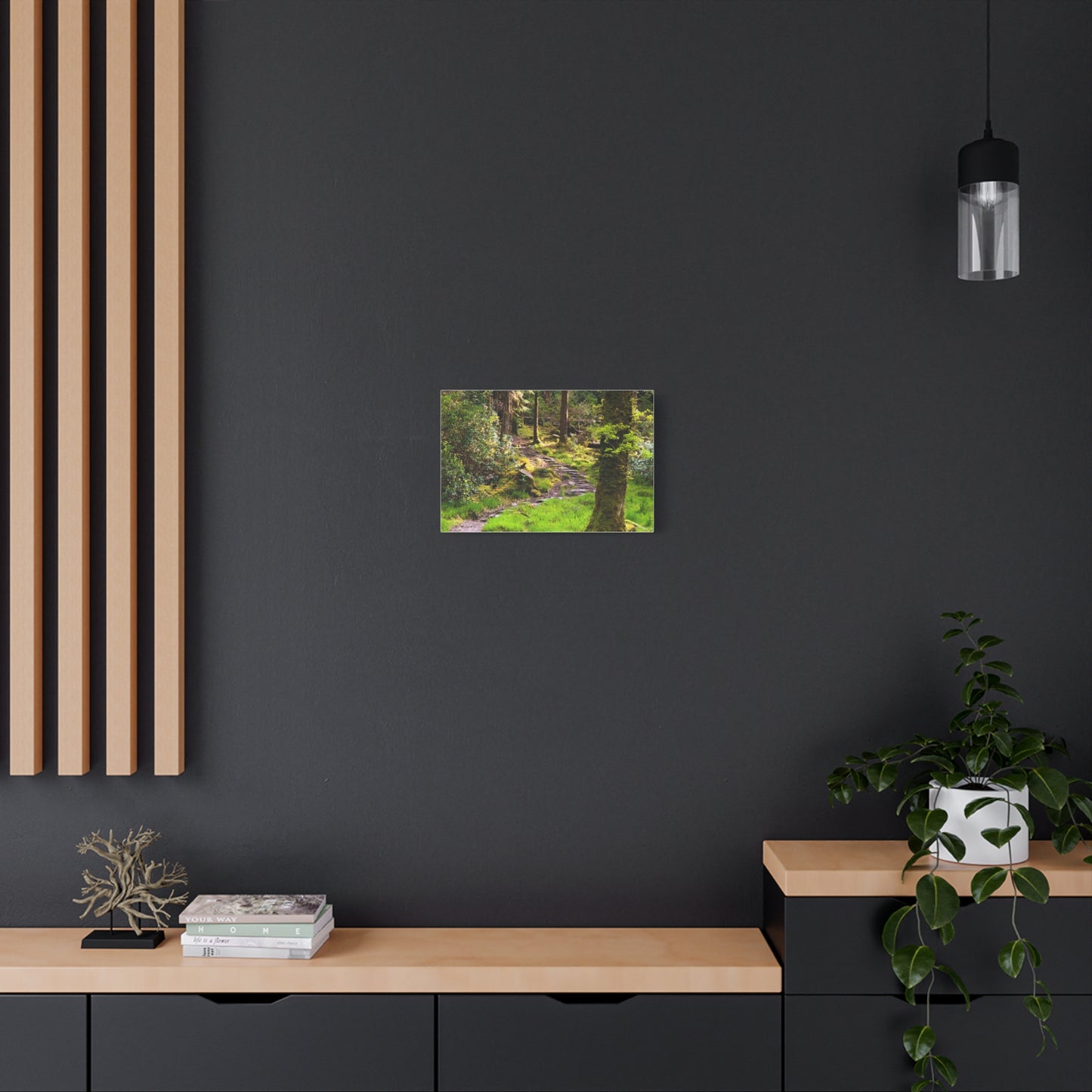 Torc Trail Matte Canvas, Stretched, 1.25"