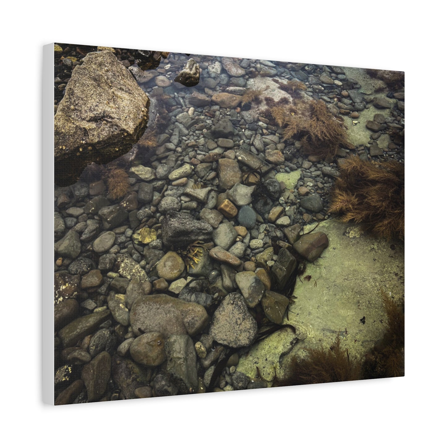 Rocks Matte Canvas, Stretched, 1.25"