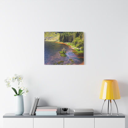 Gleanteenassig Forest Matte Canvas, Stretched, 1.25"